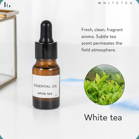 10ml Aromatherapy Essential Oil – Natural Scent for Candles